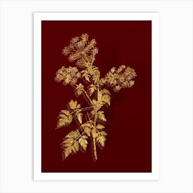 Vintage Hemlock Flowers Botanical in Gold on Red Art Print