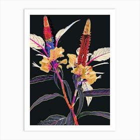 Neon Flowers On Black Celosia 3 Art Print