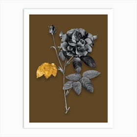 Vintage French Rose Black and White Gold Leaf Floral Art on Coffee Brown n.0008 Art Print