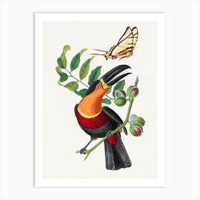 Vintage Bird And Butterfly Art Art Print