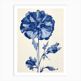 Blue Botanical Carnation 6 Art Print
