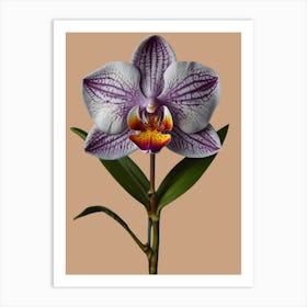 Orchid Flower Art Print