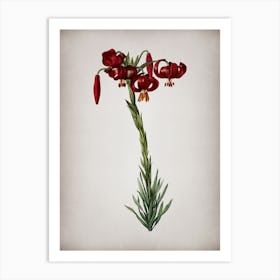 Vintage Lily Botanical on Parchment n.0418 Art Print