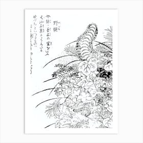 Toriyama Sekien Vintage Japanese Woodblock Print Yokai Ukiyo-e Nozuchi Art Print