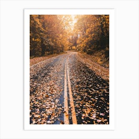 Autumn Leaves At Smoky Mountain National Park Art Print