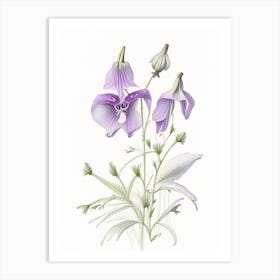 Bellflower Floral Quentin Blake Inspired Illustration 2 Flower Art Print