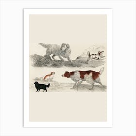 Dog Breeds Art Print