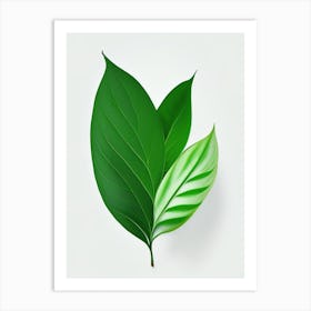 Stevia Leaf Vibrant Inspired 3 Art Print