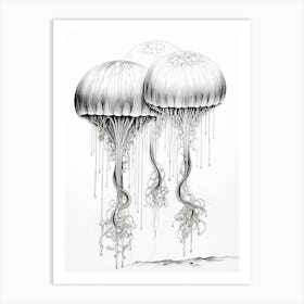 Moon Jellyfish Drawing 1 Art Print