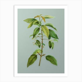 Vintage Chilean Wineberry Branch Botanical Art on Mint Green n.0819 Art Print