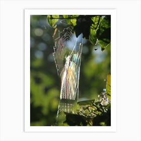 Rainbows in a web, shot in a million Art Print