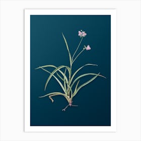 Vintage Spiderwort Botanical Art on Teal Blue n.0067 Art Print