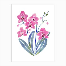 Orchid Art Print