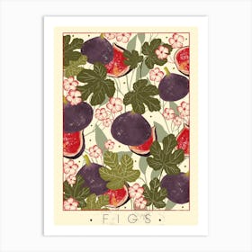 Fig Art Print