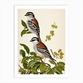 Sparrow James Audubon Vintage Style Bird Art Print