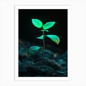 Small Green Plant Growing On A Rock Art Print