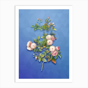 Vintage Pink Baby Roses Botanical Art on Blue Perennial n.0614 Art Print