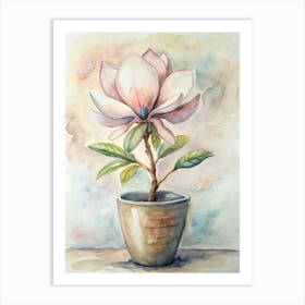 Magnolia 2 Art Print