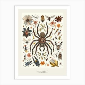 Colourful Insect Illustration Tarantula 14 Poster Art Print