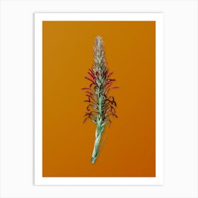 Vintage Pitcairnia Latifolia Botanical on Sunset Orange n.0489 Art Print