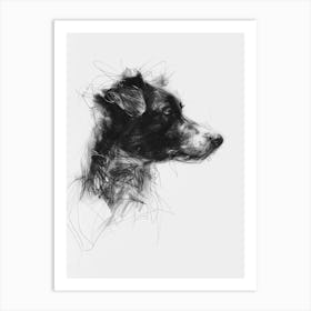 Shepherd Dog Charcoal Line 3 Art Print