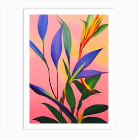 Bird Of Paradise 2 Colourful Illustration Plant Art Print