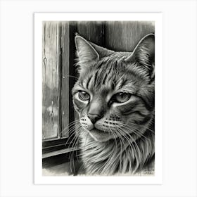 Cat In The Window 2 Art Print