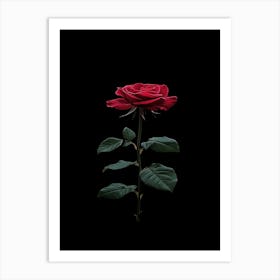 Rose On A Black Background 15 Art Print