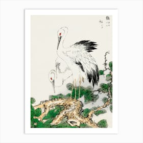 Chinese Cranes 2 Art Print