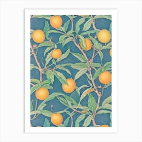 Loquat 1 Vintage Botanical Fruit Art Print