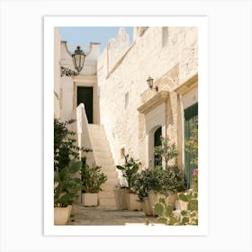 Cactus and plants in typical Italian alley | Puglia | Ostuni | Italy Art Print