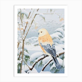 Winter Bird Painting Budgerigar 3 Art Print