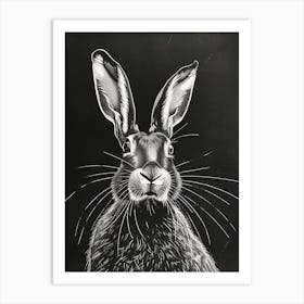 Belgian Hare Blockprint Illustration 6 Art Print