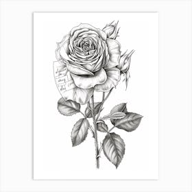 Roses Sketch 35 Art Print