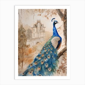 Peacock By The Castle Watercolour 2 Art Print