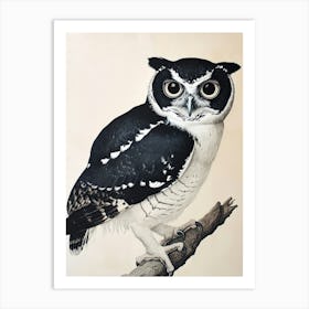 Spectacled Owl Vintage Illustration 3 Art Print