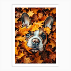 French Bulldog In Autumn Leaves 1 Art Print