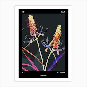 No Rain No Flowers Poster Prairie Clover 2 Art Print