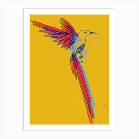 Hummingbird005 Art Print