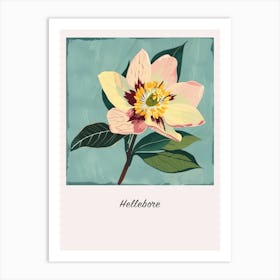 Hellebore 3 Square Flower Illustration Poster Art Print