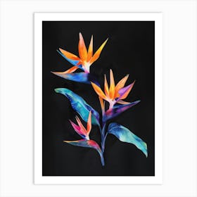 Bird Of Paradise 63 Art Print