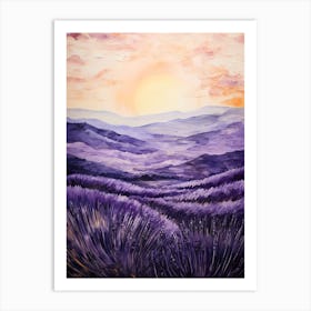 Lavender Fields At Sunset Art Print