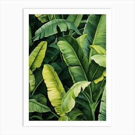Green Banana Leaves Art Print