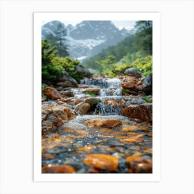 Stream In The Mountains Art Print