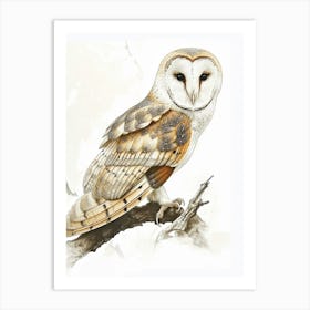 Barn Owl Vintage Illustration 4 Art Print