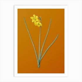 Vintage Narcissus Odorus Botanical on Sunset Orange n.0209 Art Print