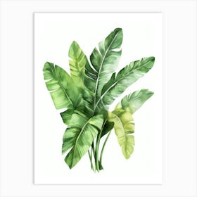 Banana Leaves 3 Art Print