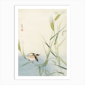 Bird And Butterfly (1900 1930), Ohara Koson Art Print