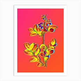 Neon Andromeda Mariana Branch Botanical in Hot Pink and Electric Blue n.0485 Art Print