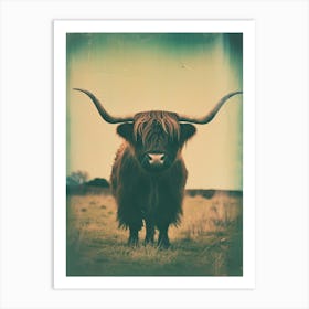 Highland Cow Polaroid Inspired 1 Art Print